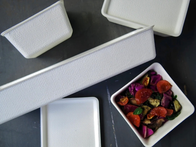 casanet food container