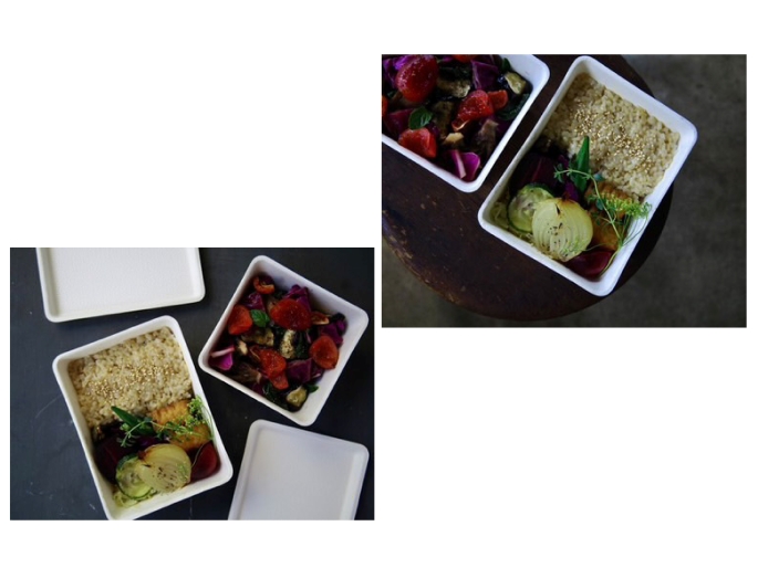 casanet food container