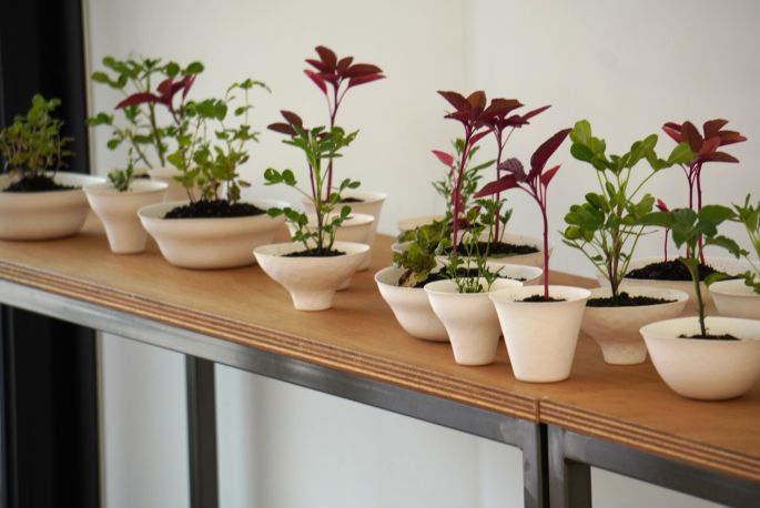 三重県多気郡・VISONのAT CHEF MUSEUMでの様子